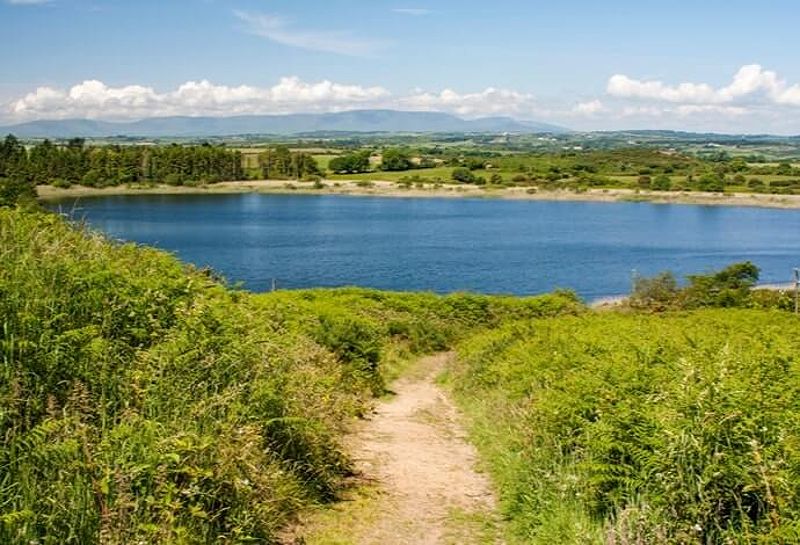 Ballyscanlon Forest