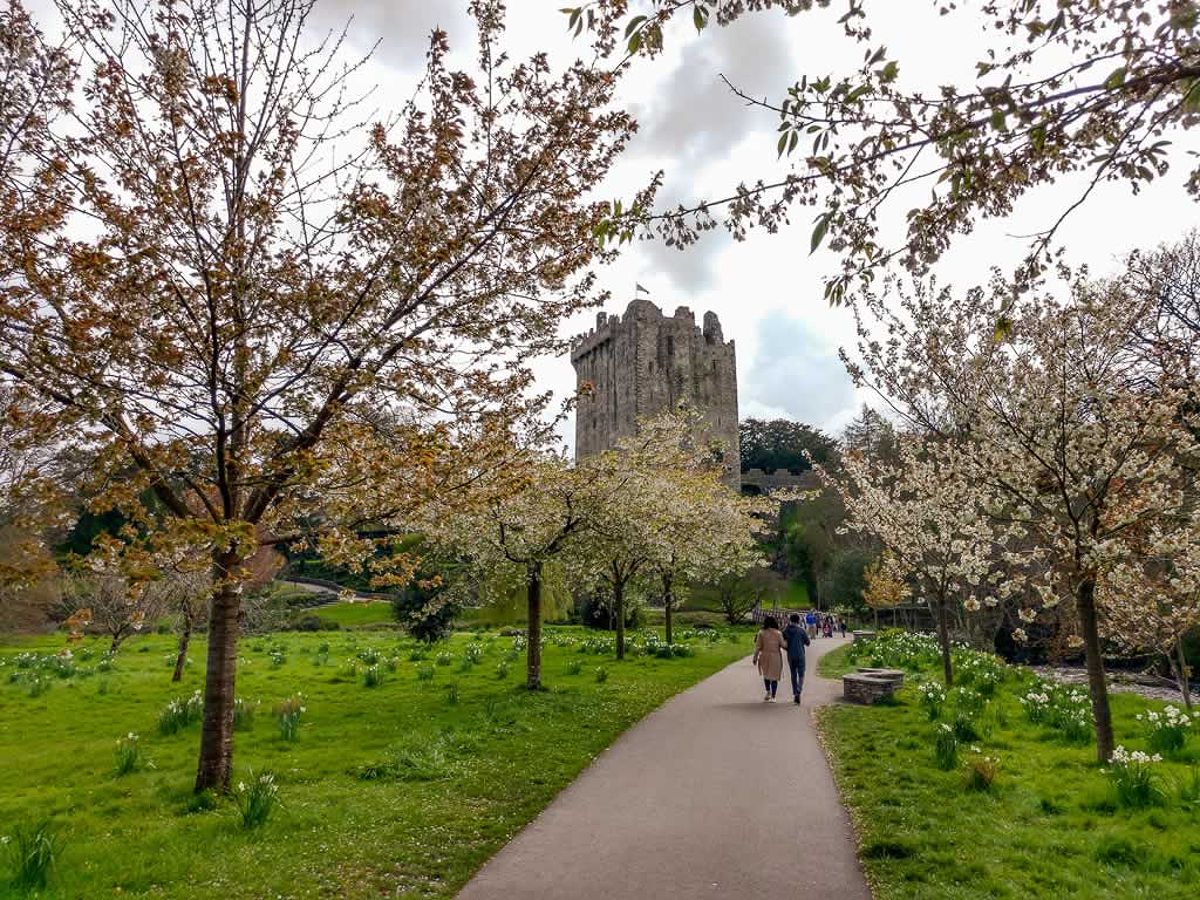 Blarney Castle Gardens