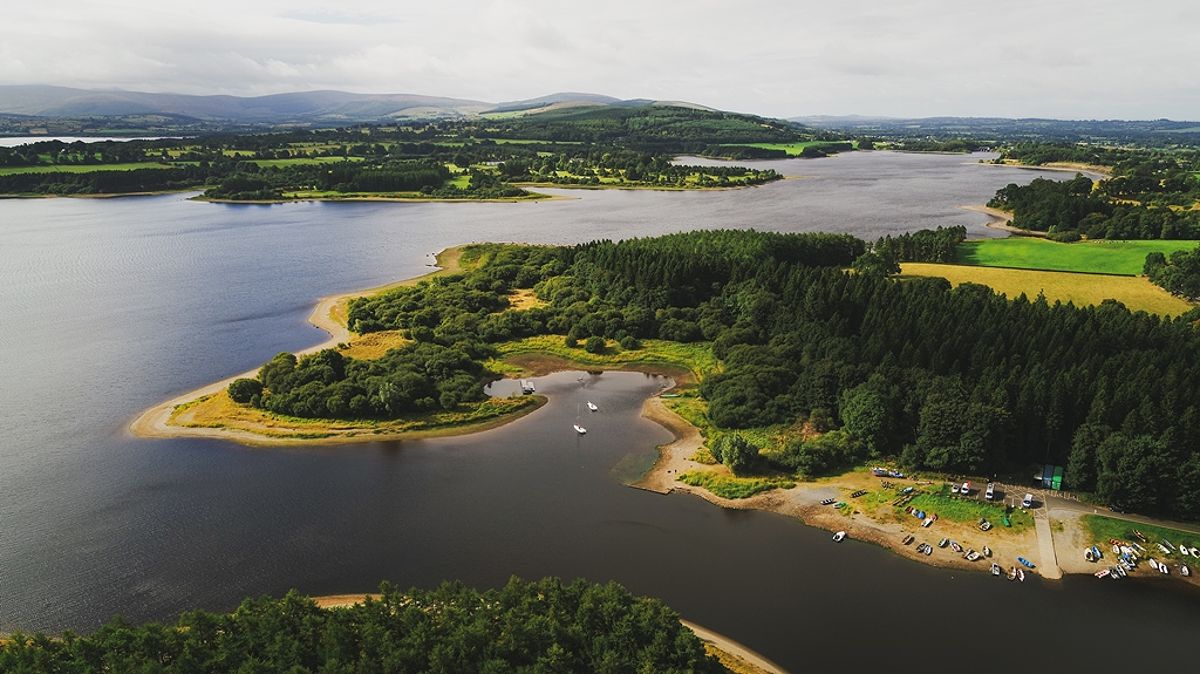 Blessington Lake