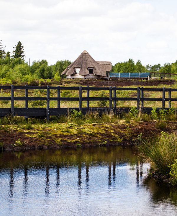 Bog of Allen Nature Centre