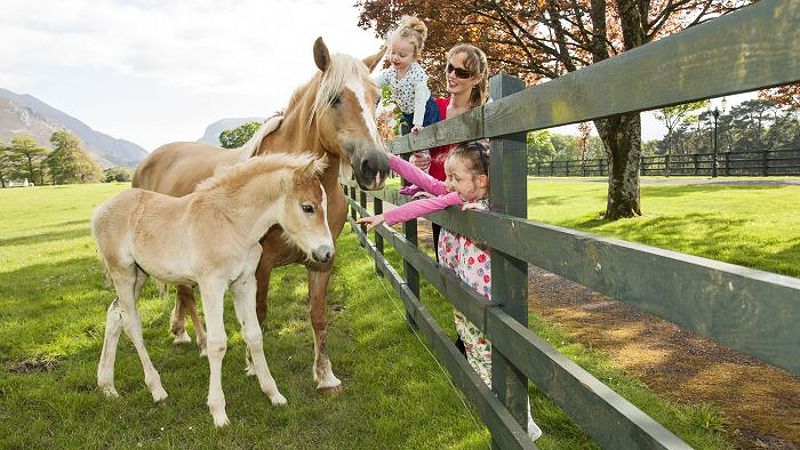 Castlemartyr Resort