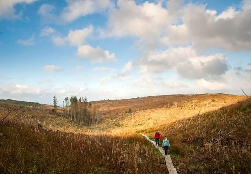 Cavan Burren Park