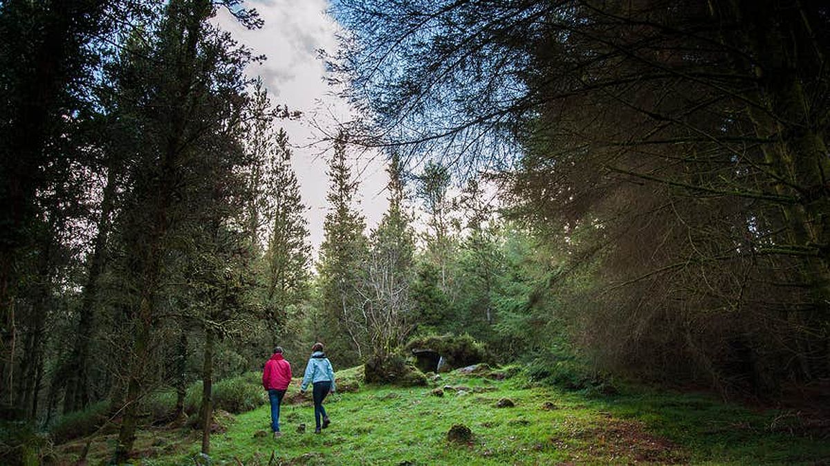 Couple walking through the forest in Cavan Burren Park