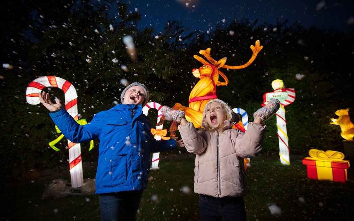 Dublin Zoo Wildlights