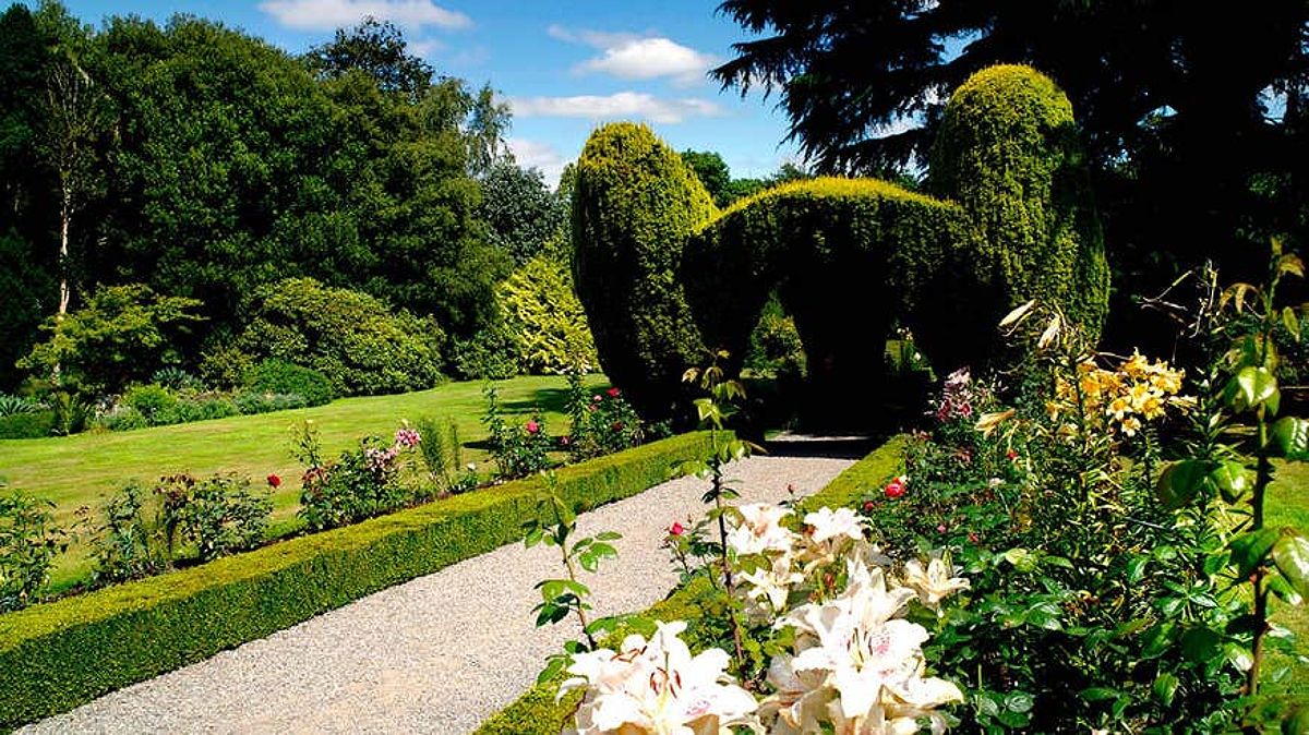 Flowers and topiary in Altamont Gardens in County Carlow