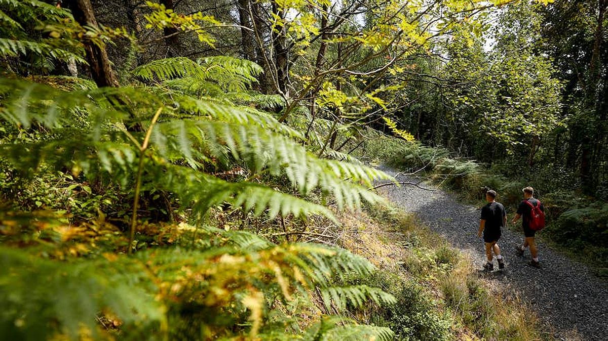 Hikers in the Glen of Aherlow