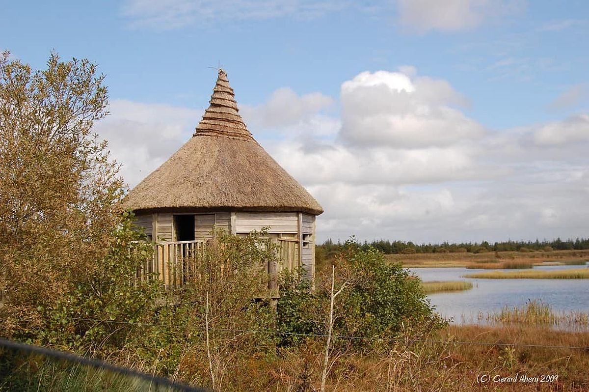 Lough Boora Discovery Park