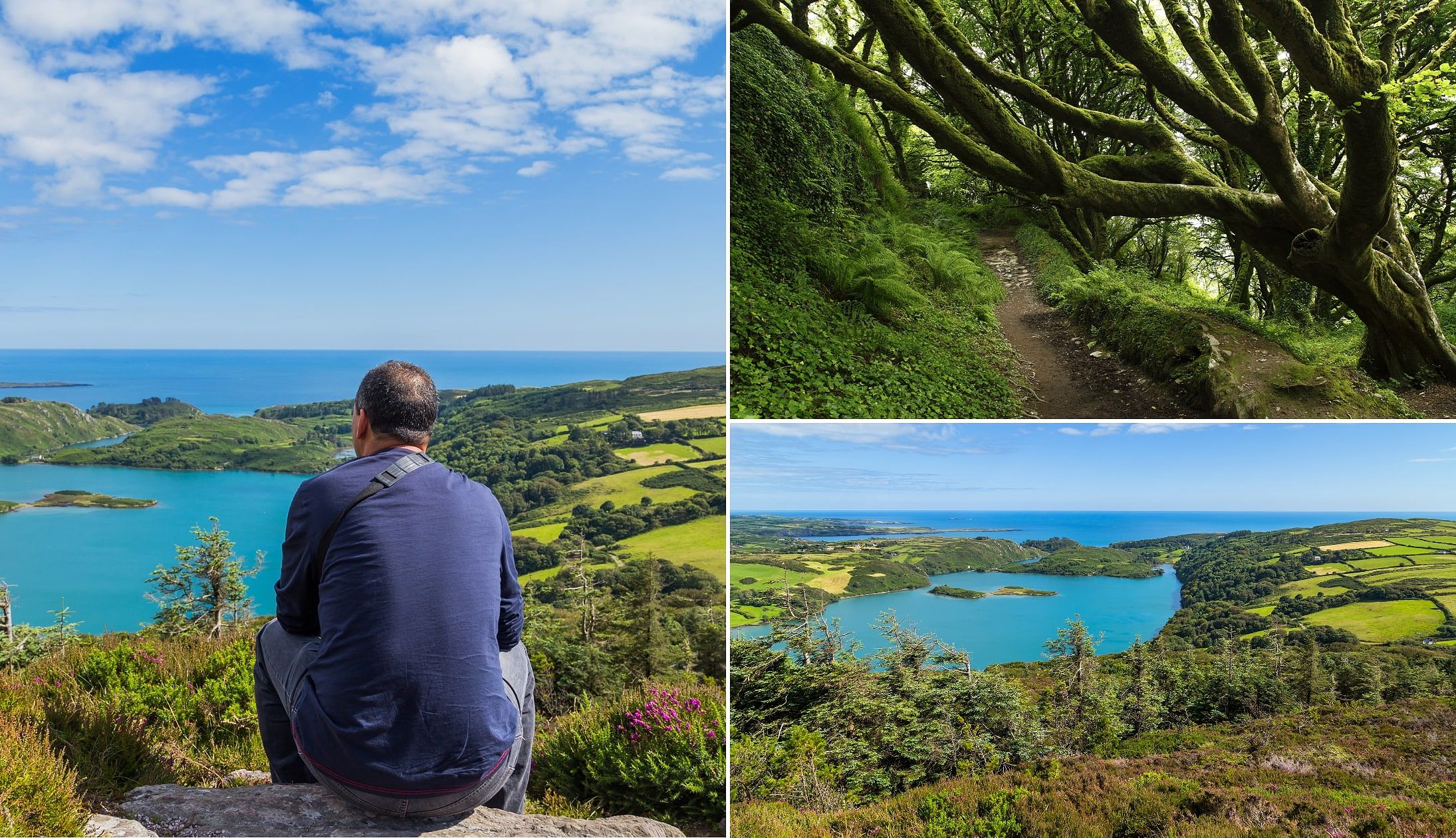 Lough Hyne