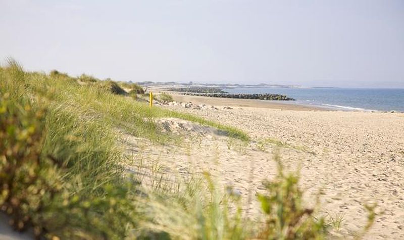 Sandy stretch on the beach of Rosslare Strand