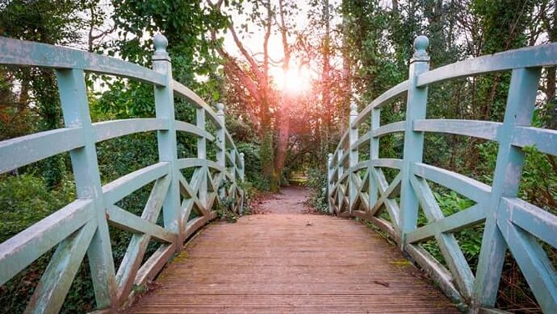 Scenic walk in Marlay Park