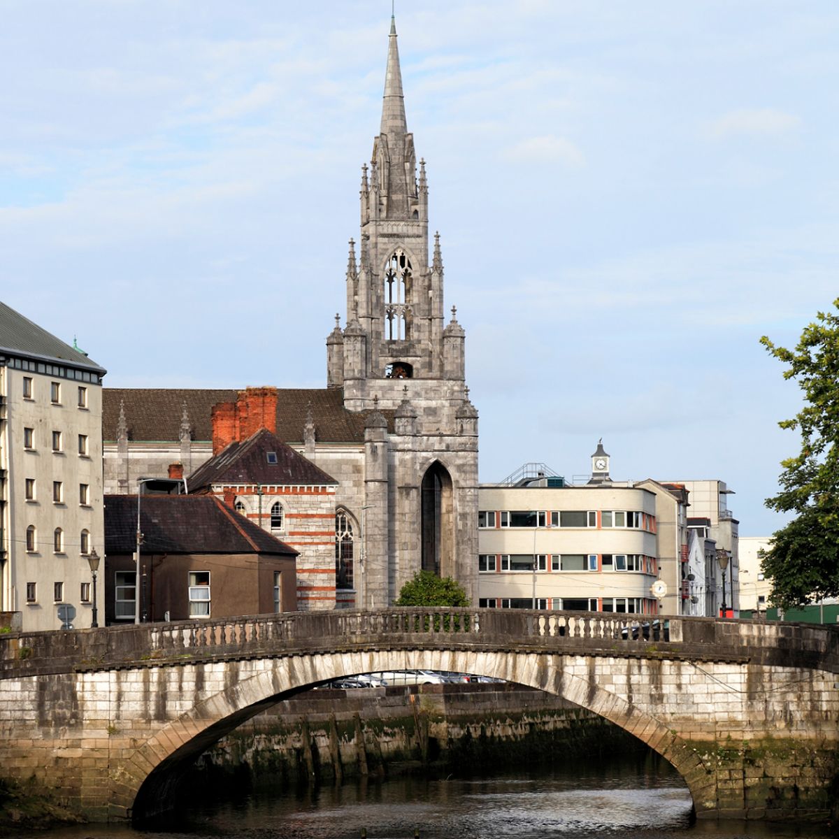 St. Fin Barre's Cathedral in Cork