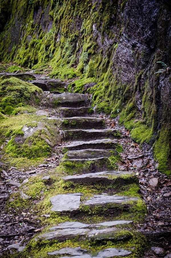 Stone Steps Glengarriff Nature Reserve