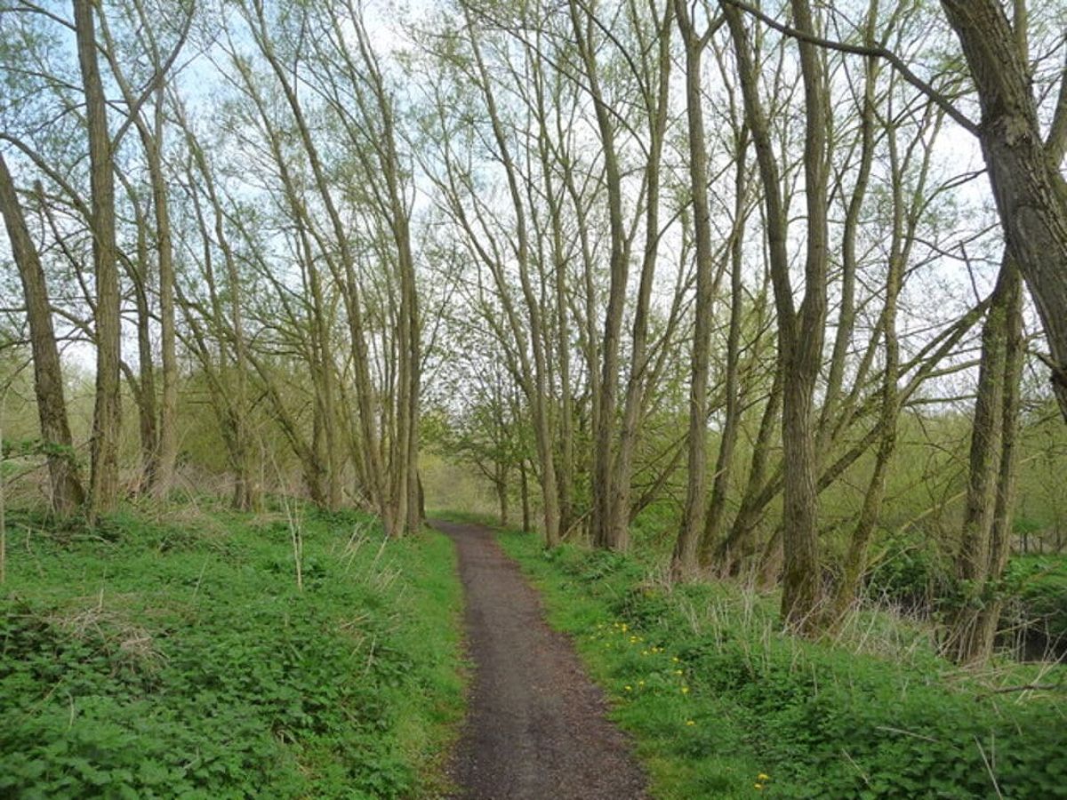 The Blackwater Valley Path