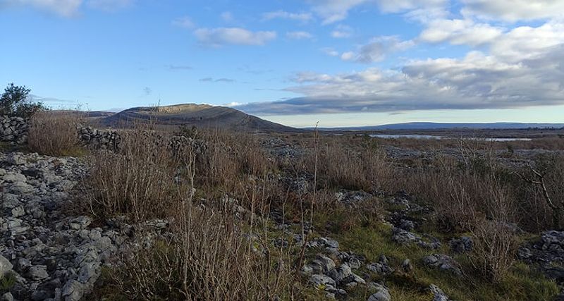 The Burren