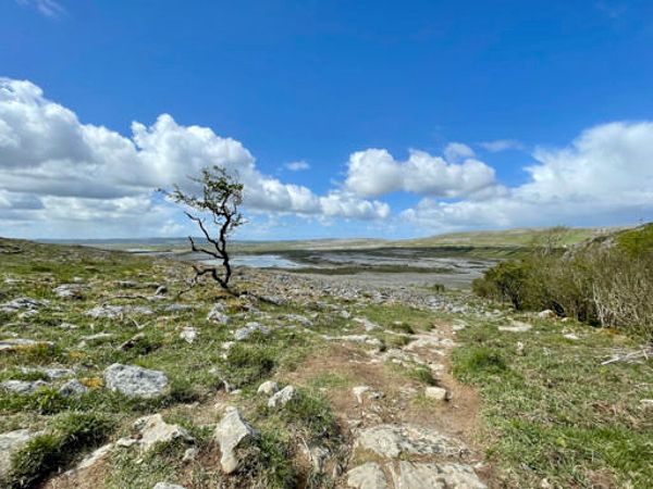 The Burren Landscape