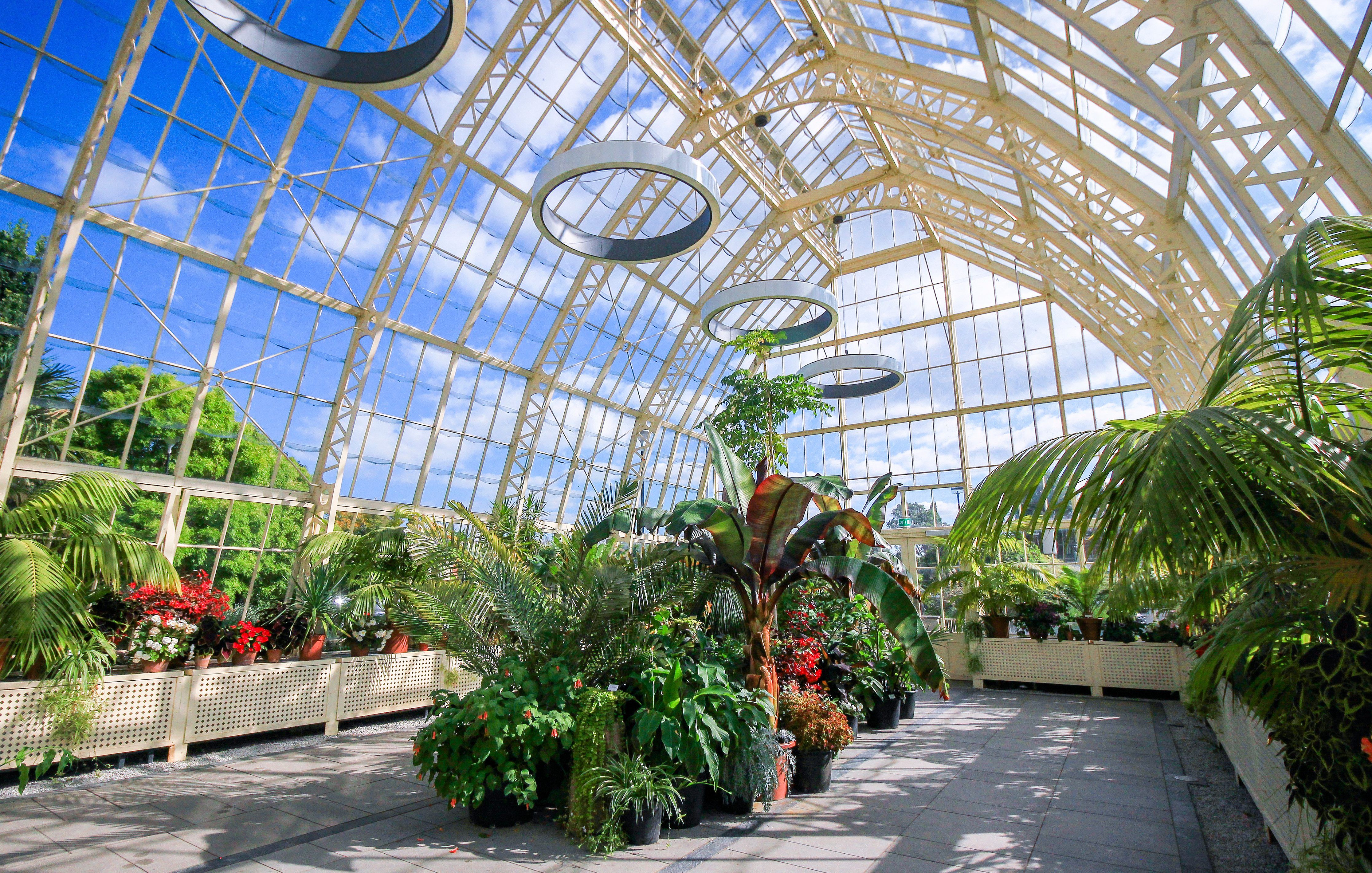 The interior of a glass house in the botanic garden, filled with tropical plants.