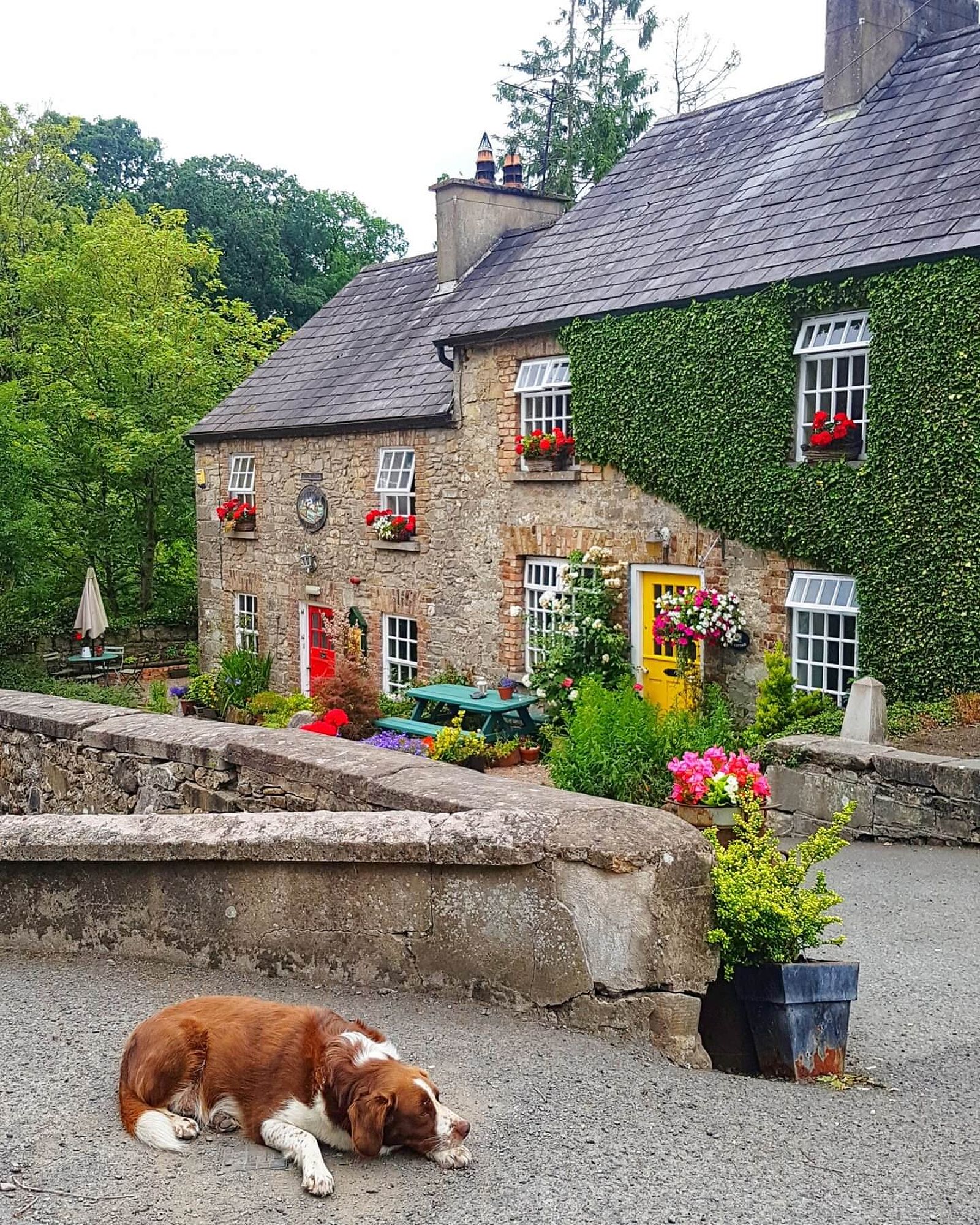 Things to do in Monaghan Ireland cottage