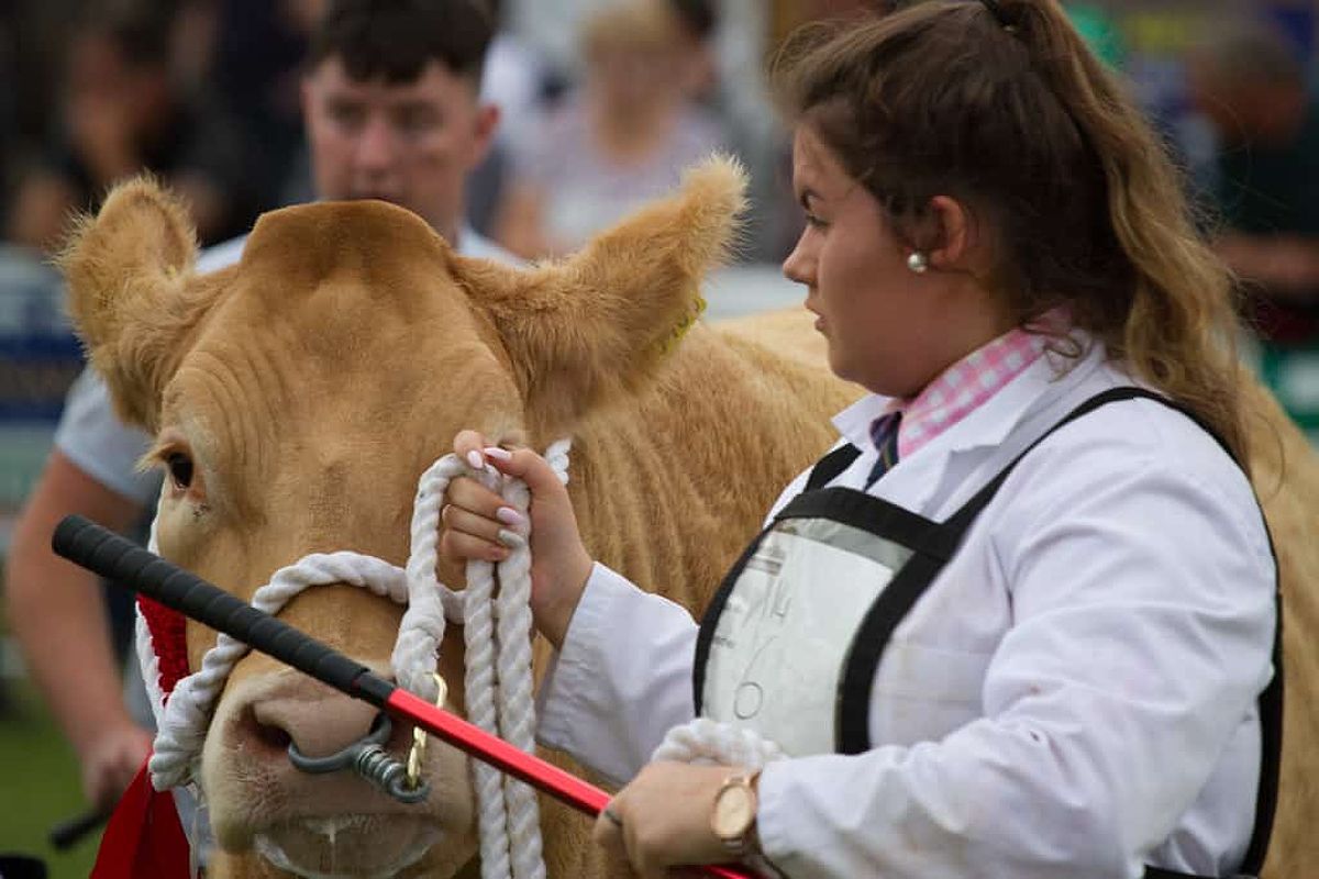 Tullamore Show