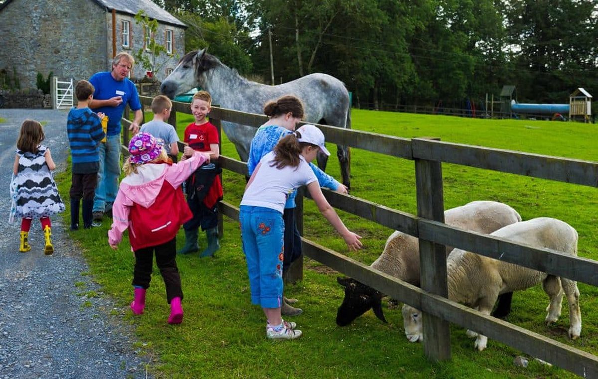 Tullyboy Farm is the perfect spot to cuddle some animals and make furry friends.