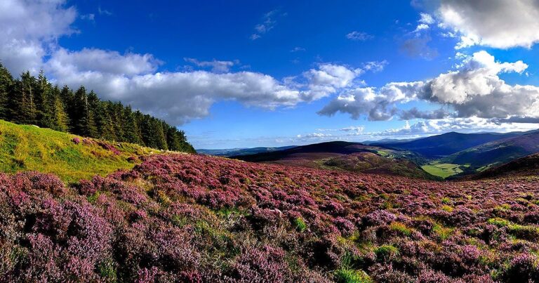 Uncover The Best Things To Do In Wicklow: Ireland’s Adventure-filled Garden County