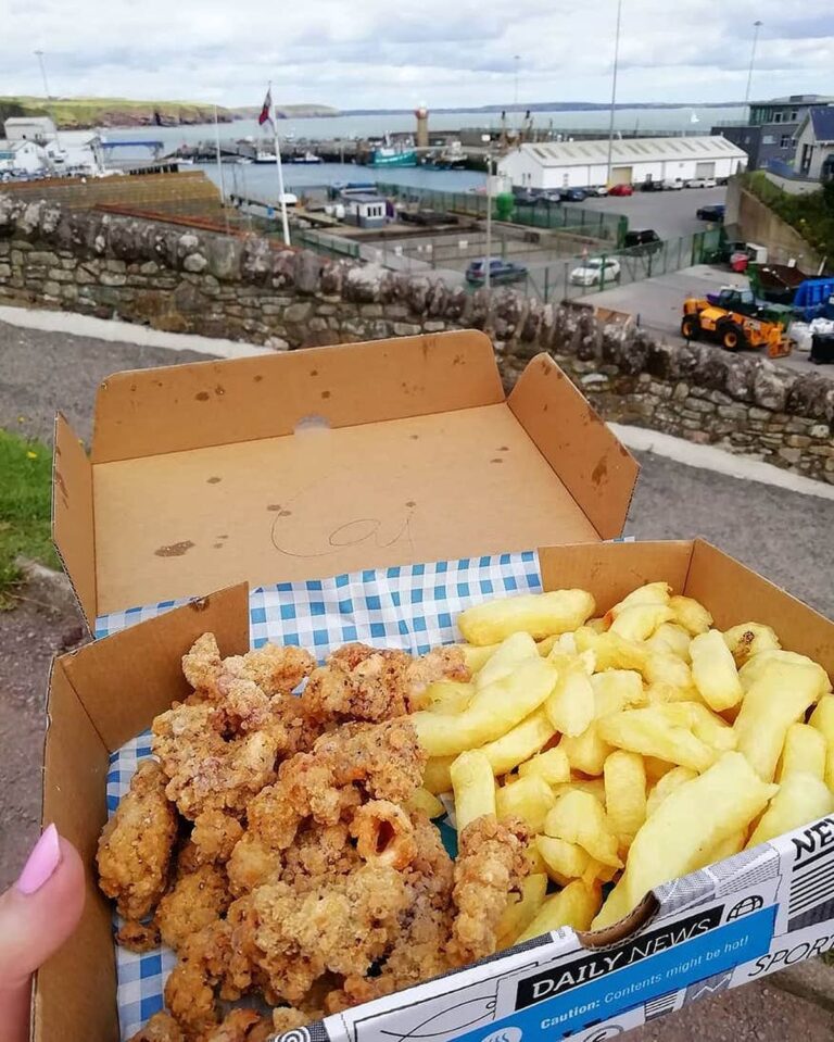 Uncovering Dublin’s Culinary Gems: The Best Fish And Chips In Ireland