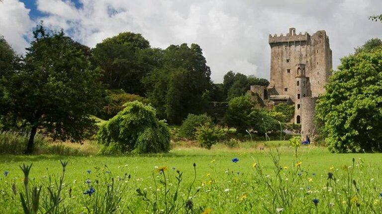 Where Is Blarney Castle Located? A Complete Guide To Visiting This Iconic Irish Landmark