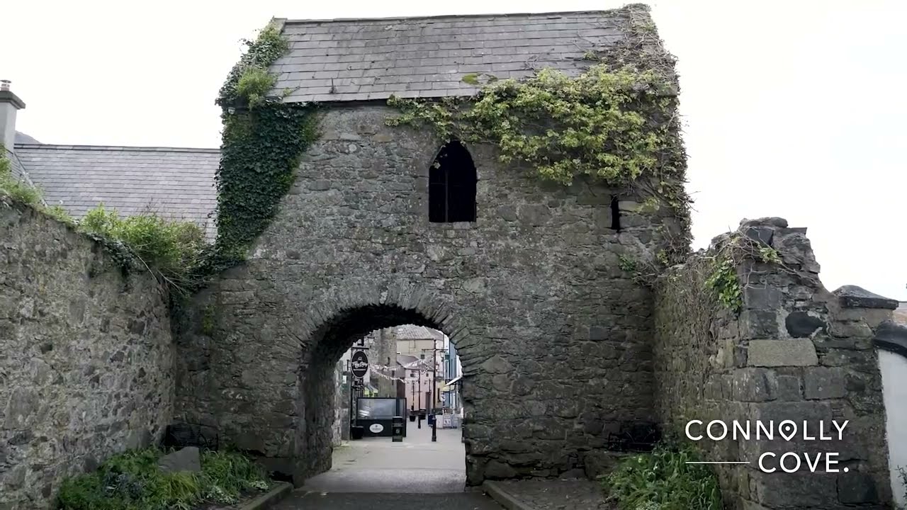 carlingford oyster festival 67177da0ac755